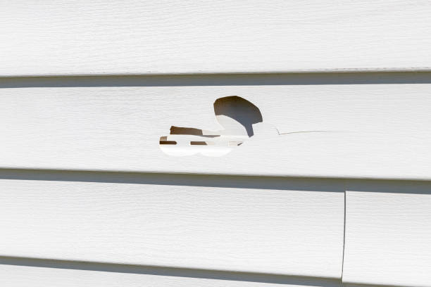 Best Shed Removal  in Cleveland, NC